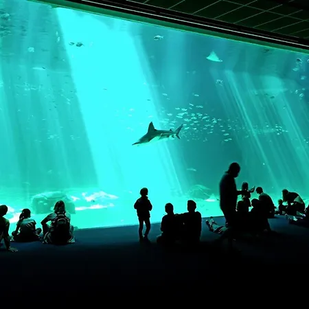 Centre - Proche Nausicaa, Et Port 아파트 볼로뉴쉬르메르
